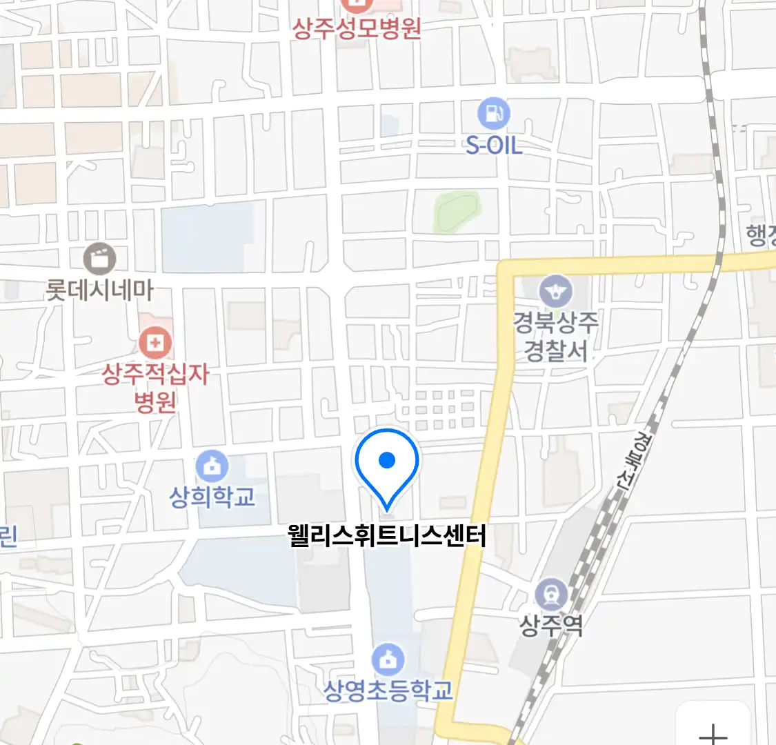 웰리스휘트니스센터 위치