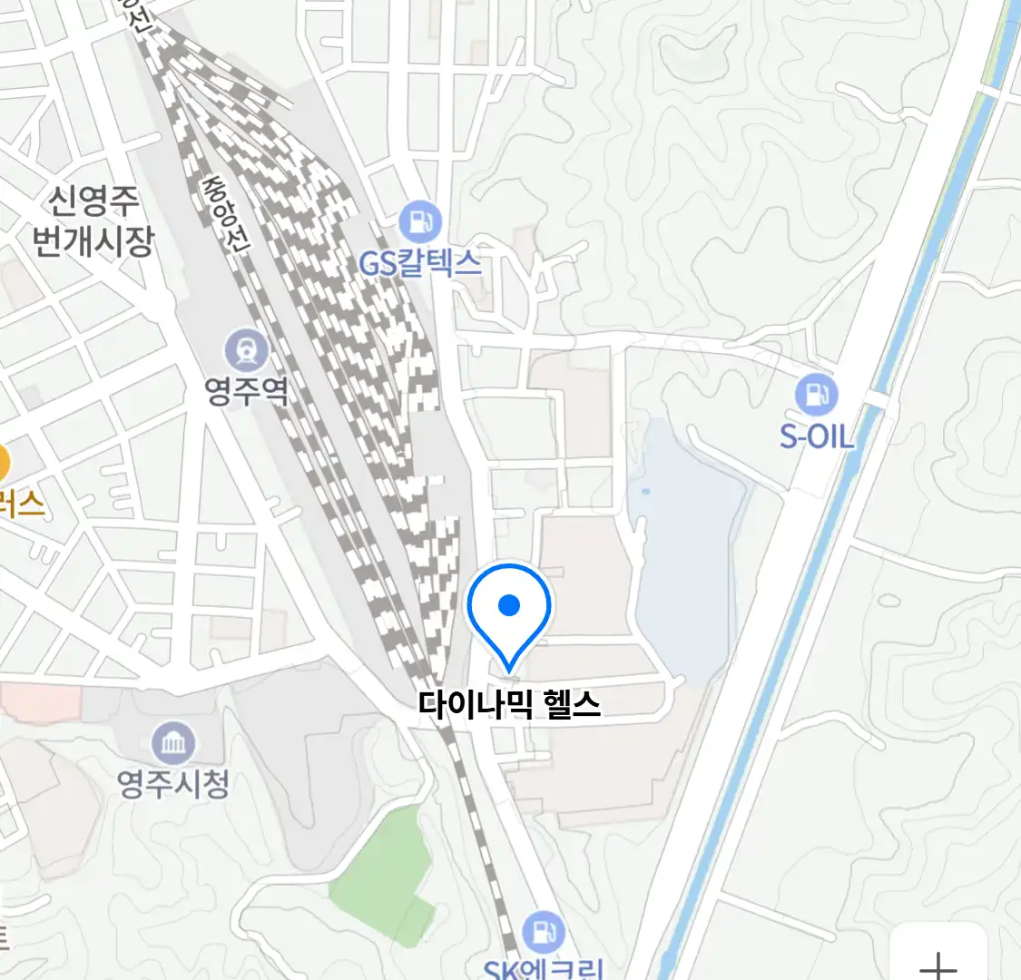 다이나믹 헬스 위치