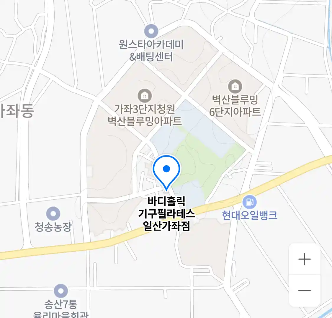 바디홀릭 기구필라테스 일산가좌점 위치