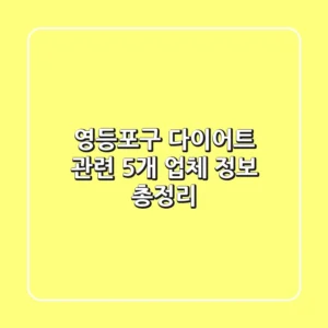 영등포구 다이어트 관련 5개 업체 정보 총정리