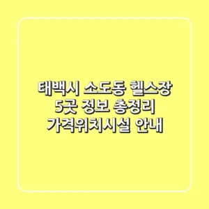 태백시 소도동 헬스장 5곳 정보 총정리 - 가격/위치/시설 안내
