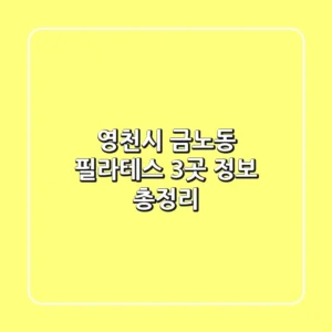 영천시 금노동 필라테스 3곳 정보 총정리