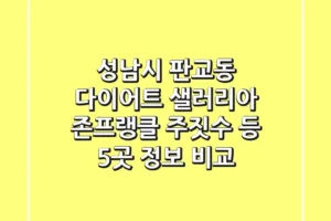 성남시 판교동 다이어트: 샐러리아, 존프랭클 주짓수 등 5곳 정보 비교