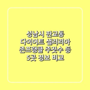성남시 판교동 다이어트: 샐러리아, 존프랭클 주짓수 등 5곳 정보 비교