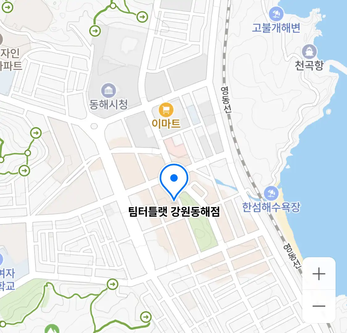 팀터틀랫 강원동해점 위치