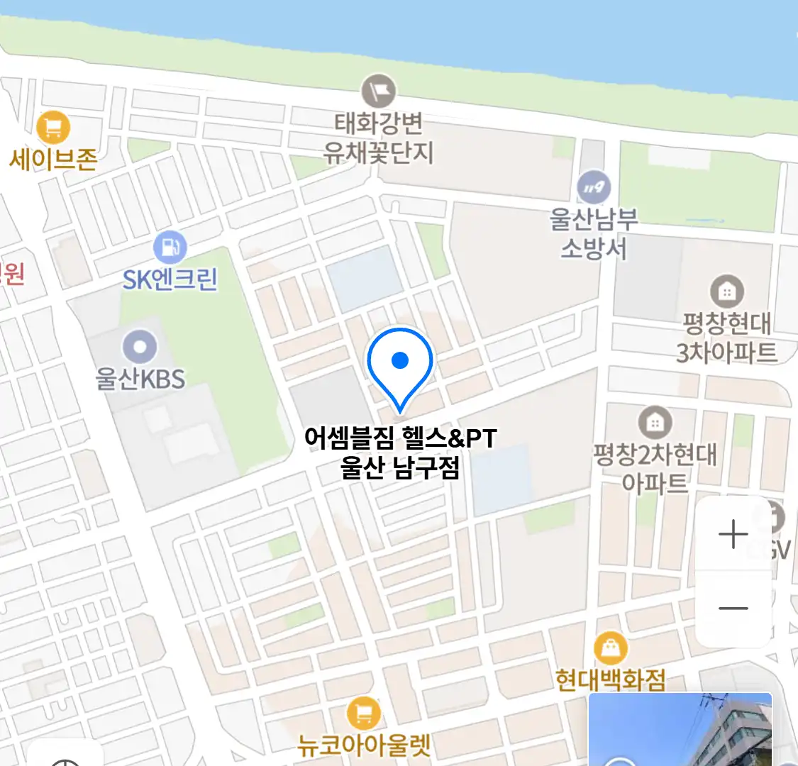어셈블짐 헬스PT 울산 남구점 위치