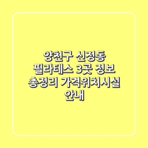 양천구 신정동 필라테스 3곳 정보 총정리 - 가격/위치/시설 안내