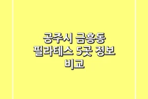 공주시 금흥동 필라테스 5곳 정보 비교