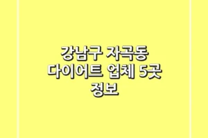 강남구 자곡동 다이어트 업체 5곳 정보