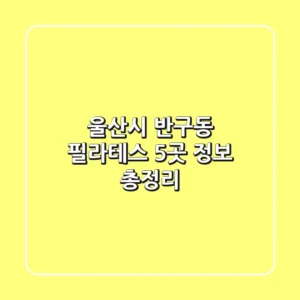 울산시 반구동 필라테스 5곳 정보 총정리