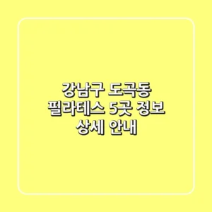 강남구 도곡동 필라테스 5곳 정보 상세 안내