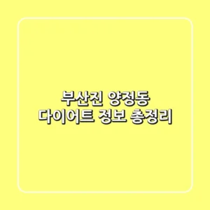 부산진 양정동 다이어트 정보 총정리