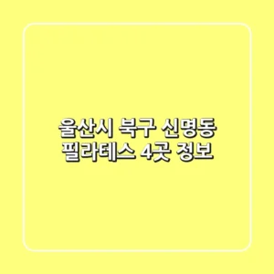 울산시 북구 신명동 필라테스 4곳 정보