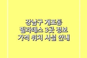 강남구 개포동 필라테스 3곳 정보 – 가격, 위치, 시설 안내