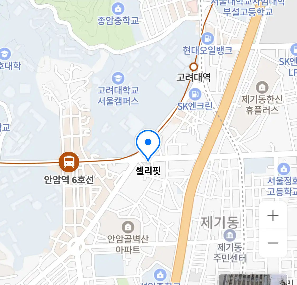 셀리핏 위치