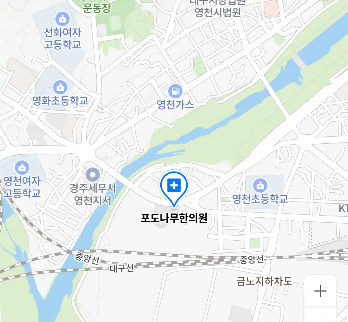 포도나무한의원 위치