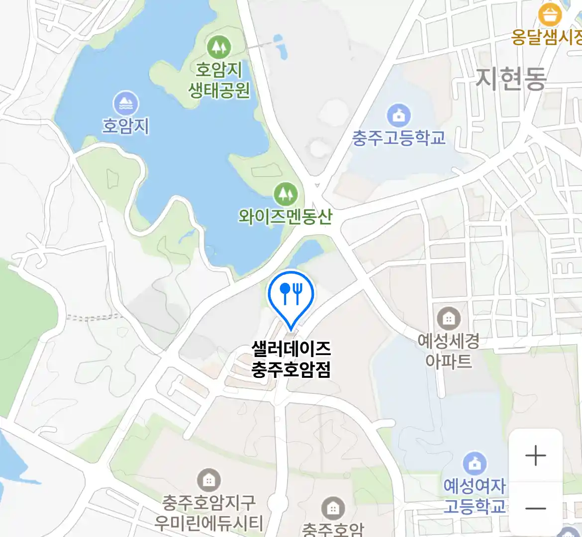 샐러데이즈 충주호암점 위치