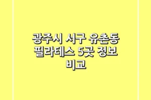광주시 서구 유촌동 필라테스 5곳 정보 비교