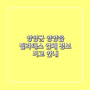 양양군 양양읍 필라테스: 업체 정보 비교 안내