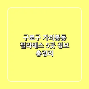구로구 가리봉동 필라테스 5곳 정보 총정리