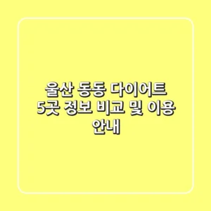 울산 동동 다이어트: 5곳 정보 비교 및 이용 안내