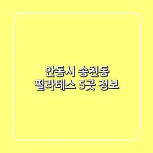 안동시 송천동 필라테스 5곳 정보