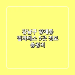 강남구 양재동 필라테스 5곳 정보 총정리