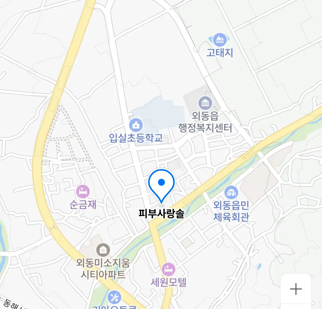 피부사랑솔 위치