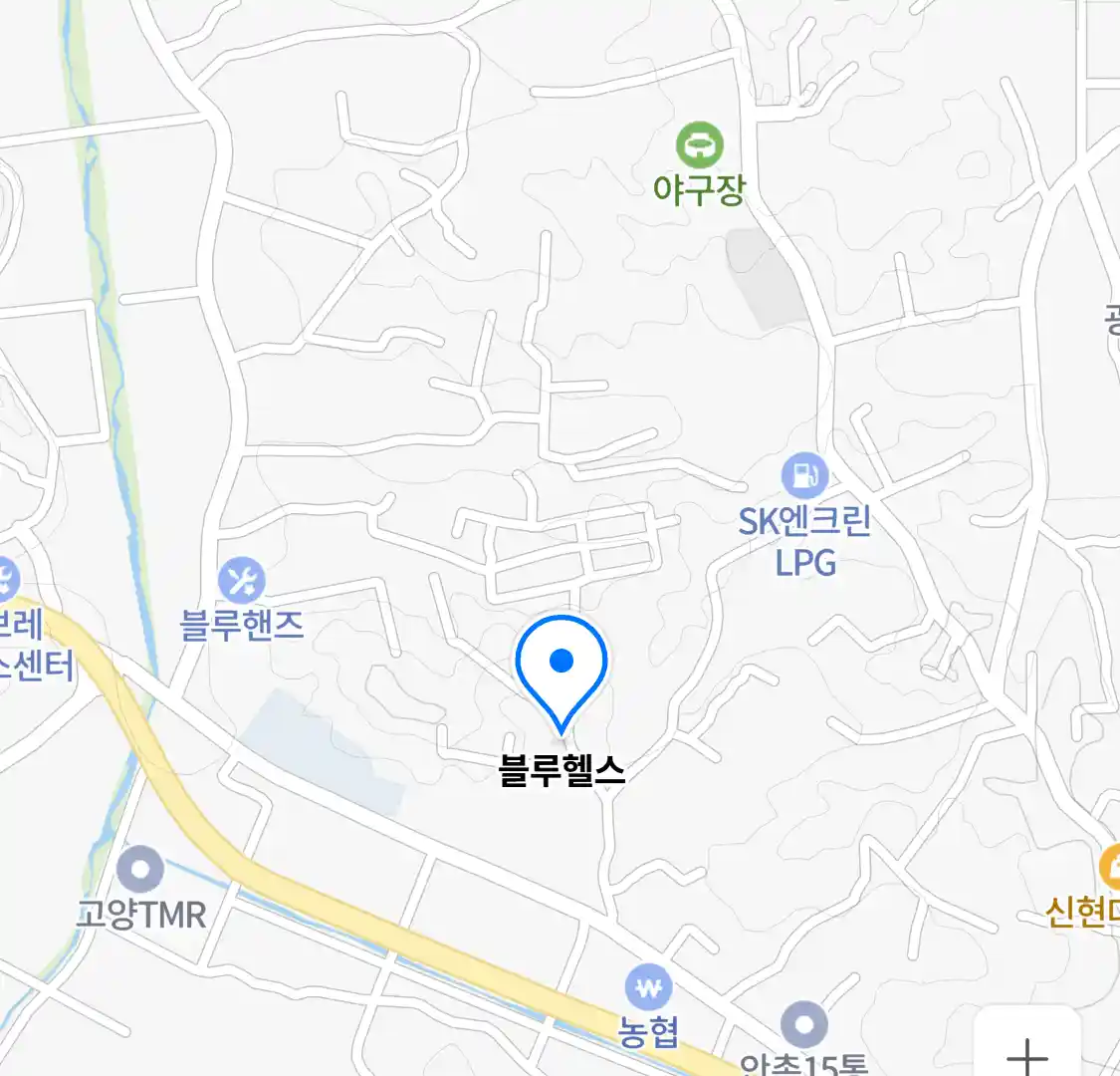 블루헬스 위치