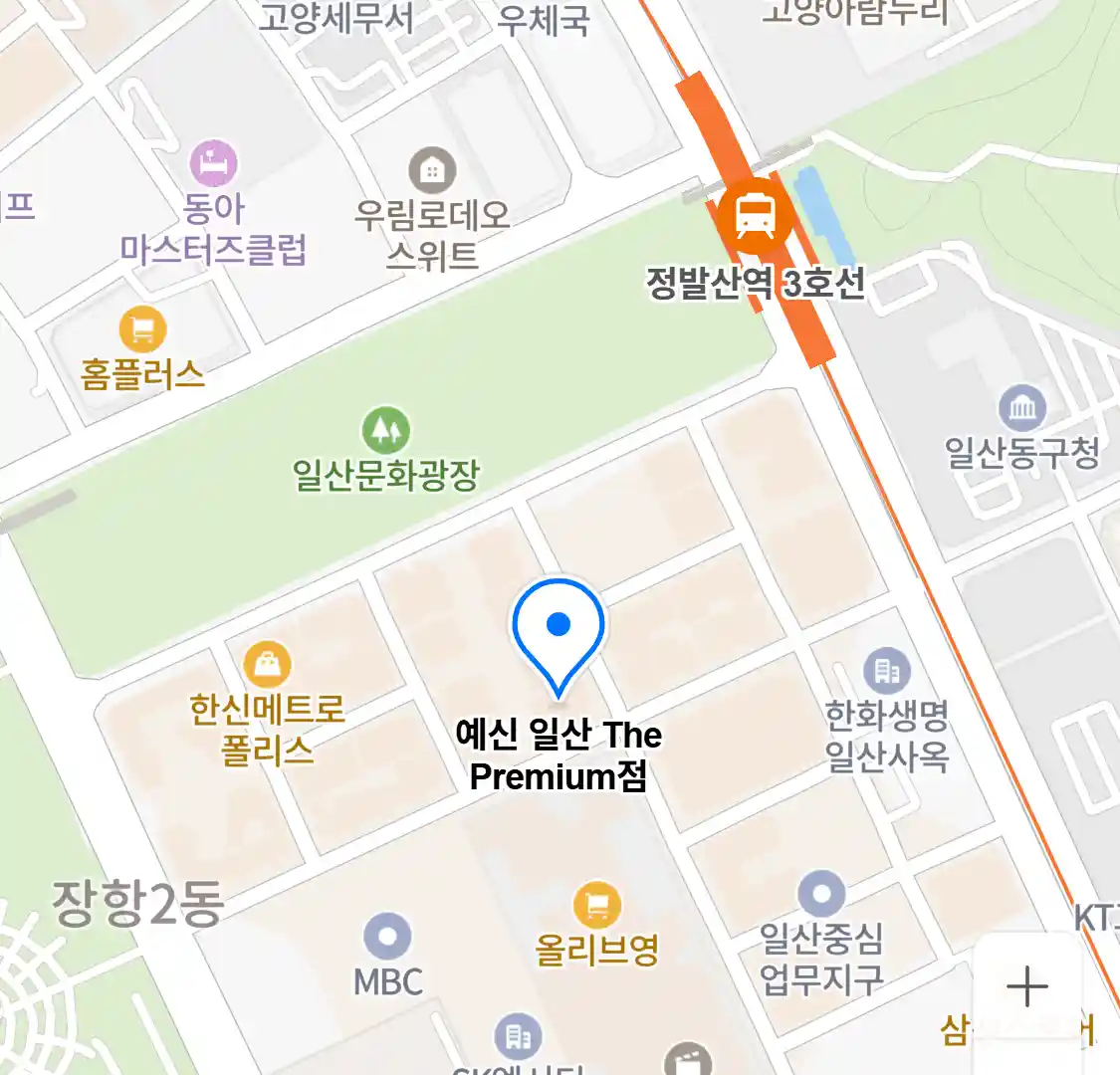 예신 일산 The Premium점 위치