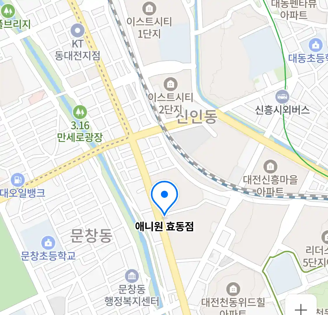 애니원 효동점 위치