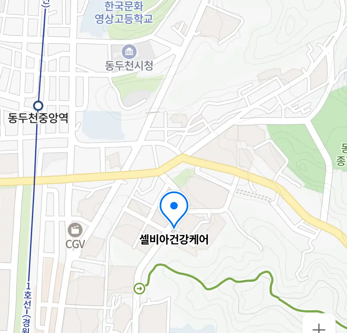 셀비아건강케어 위치