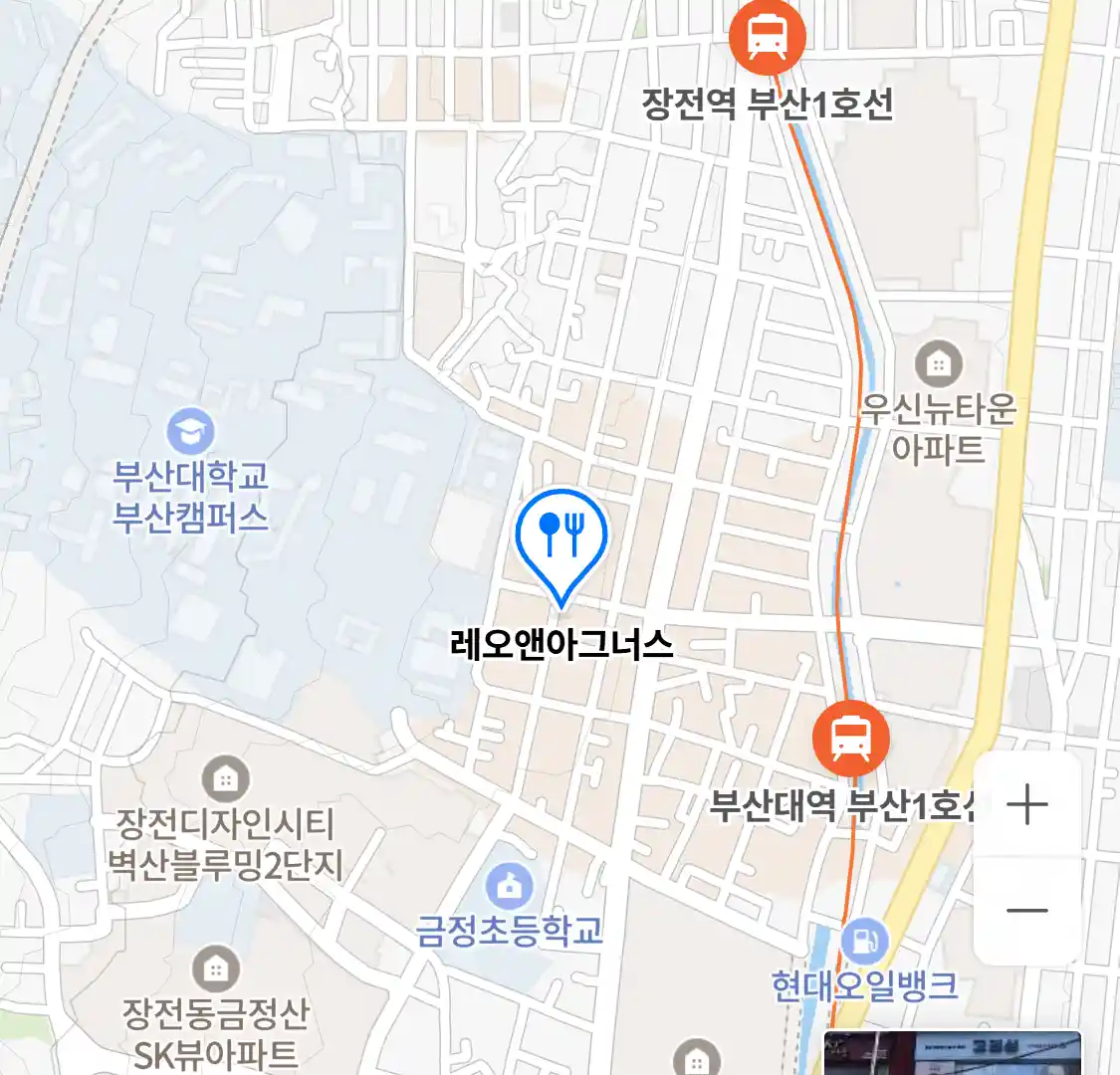 레오앤아그너스 위치