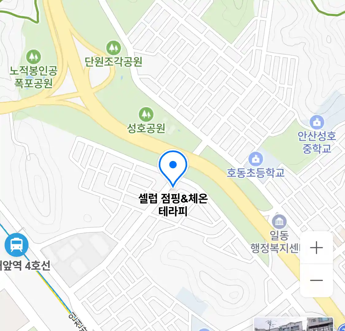 셀럽 점핑&체온 테라피 위치