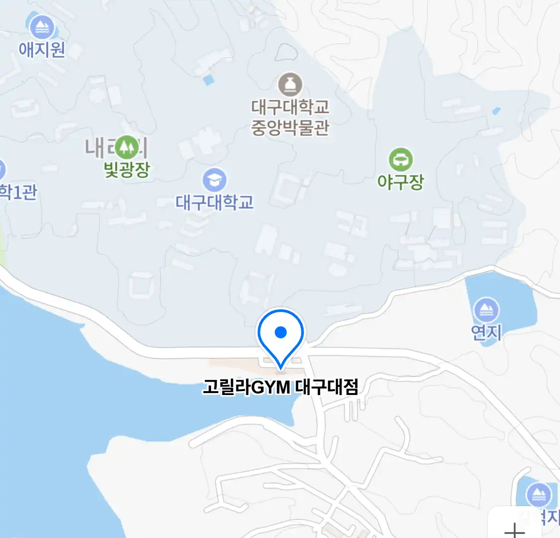 고릴라GYM 대구대점 위치