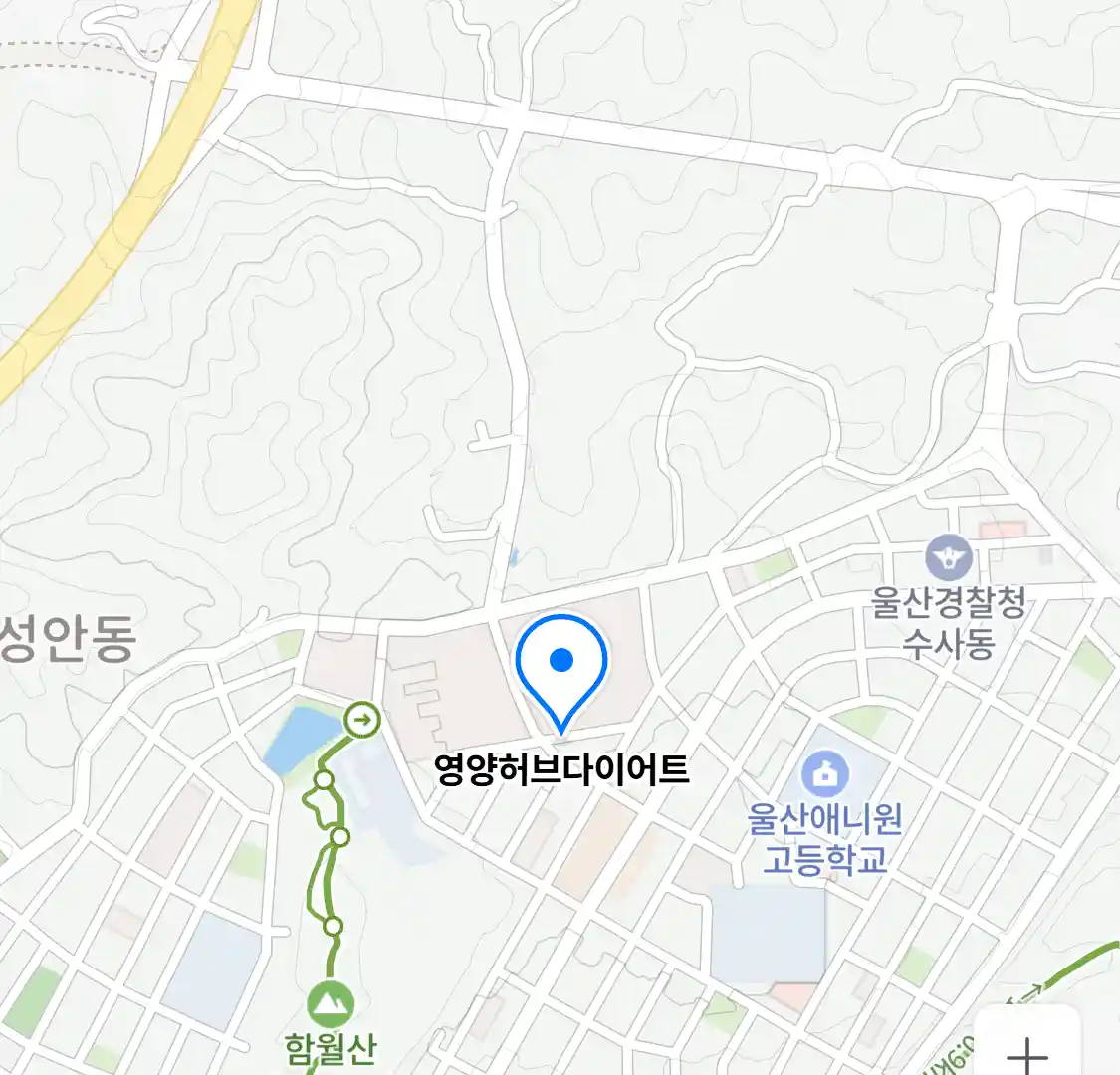 영양허브다이어트 위치
